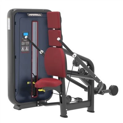 Sittande Triceps förlängningsmaskin